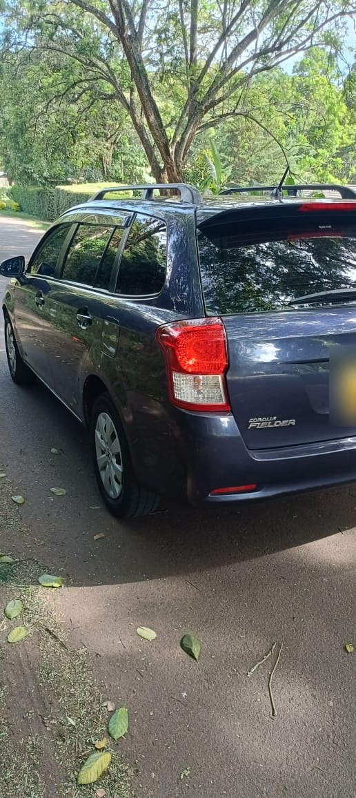 Graphite Fielder rear view